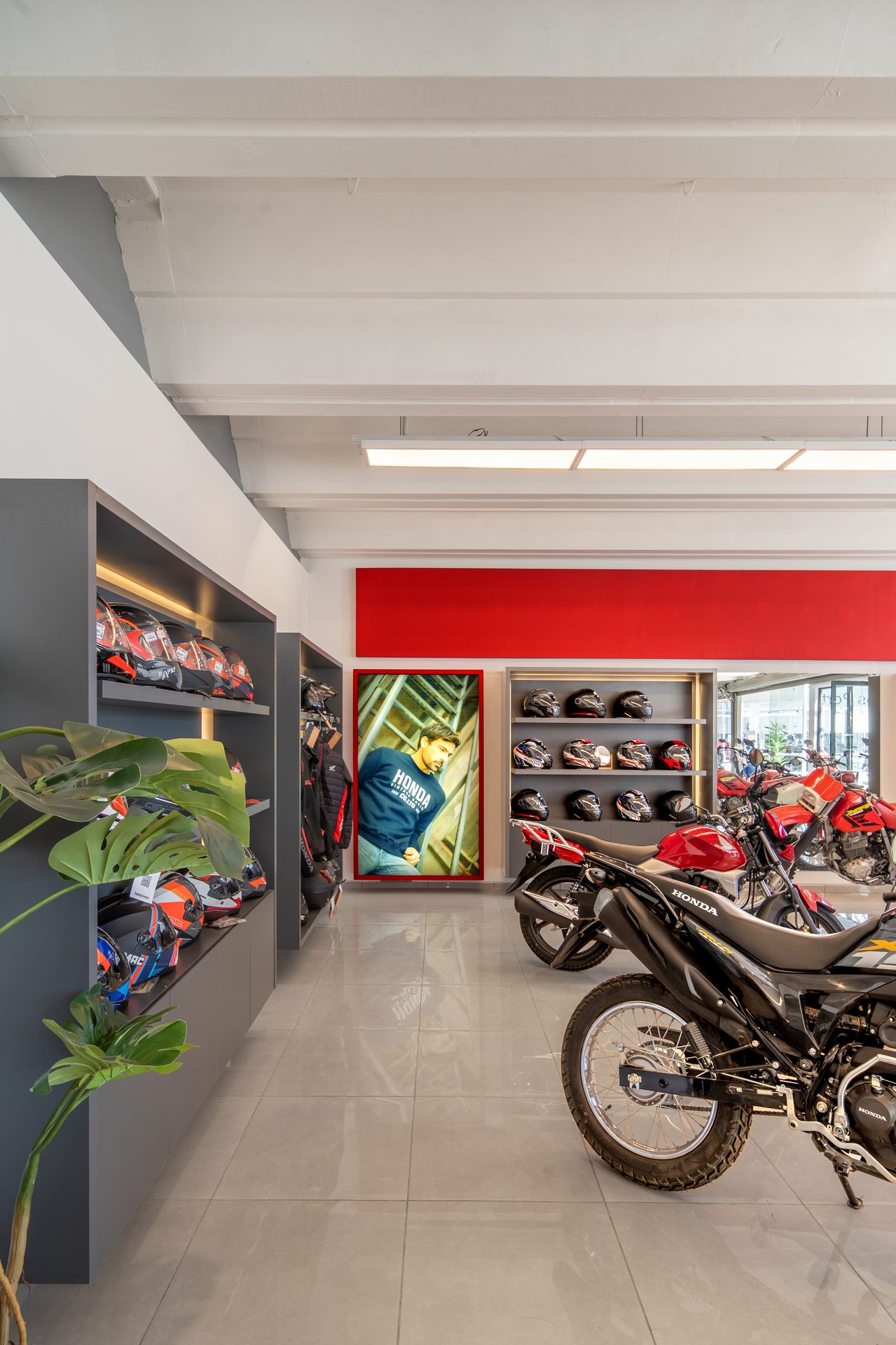 Honda Porta · Local comercial · Mar del Plata, Argentina — image 11 of 45