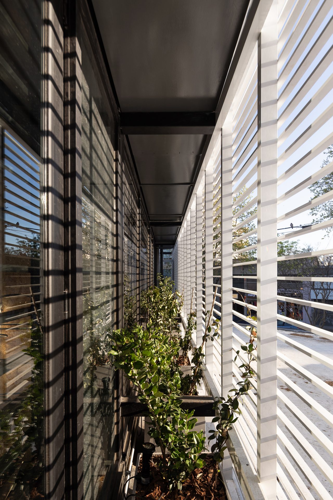 Santa Ola Store · Commercial space · Heritage intervention · Mar del Plata, Argentina — image 63 of 78